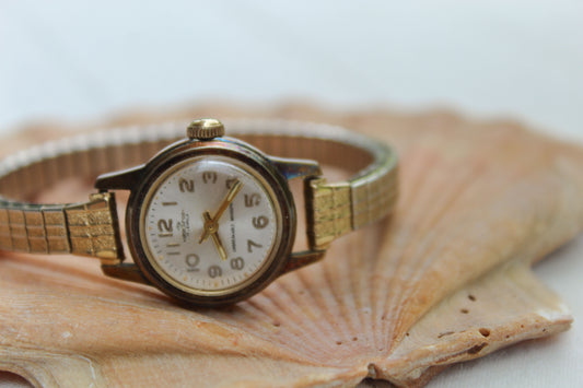 THE GOLD STANDARD WATCH